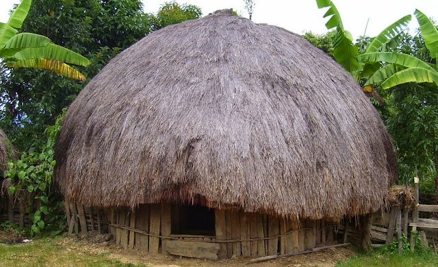 Rumah Honai